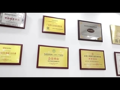 introdução da empresa