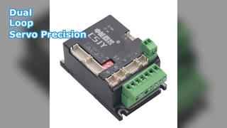 Servo driver de loop duplo