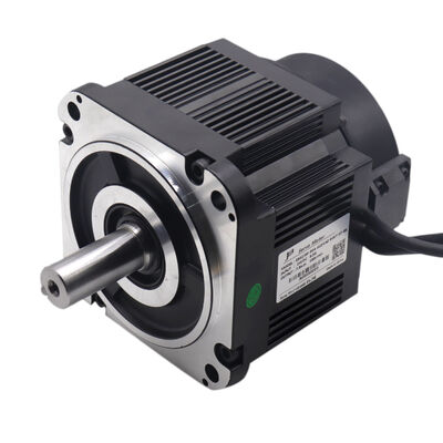 48VDC 250W 8Nm Incremental Encoder Servo Motor Turnstile Servo Motor Baixa Tensão DC Motor